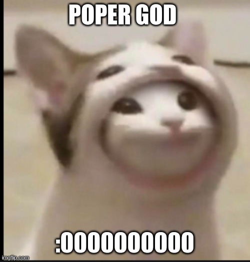 pop cat lord | POPER GOD :0000000000 | image tagged in memes | made w/ Imgflip meme maker