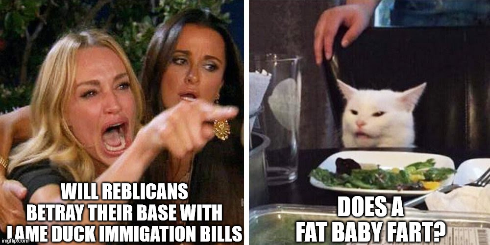 plain facts | WILL REBLICANS BETRAY THEIR BASE WITH LAME DUCK IMMIGATION BILLS; DOES A FAT BABY FART? | image tagged in smudge the cat | made w/ Imgflip meme maker