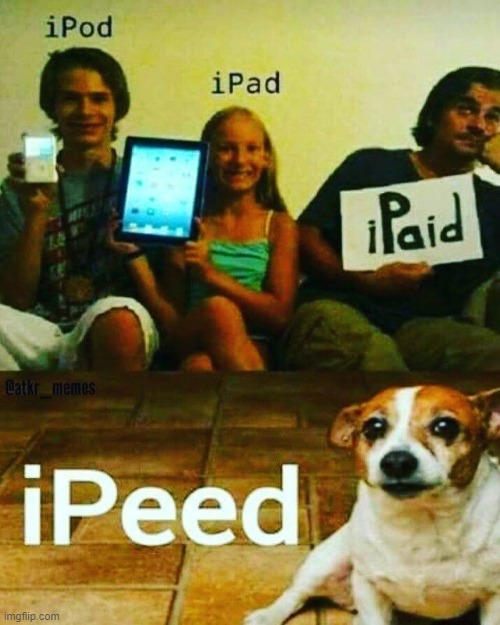 image tagged in puns | made w/ Imgflip meme maker