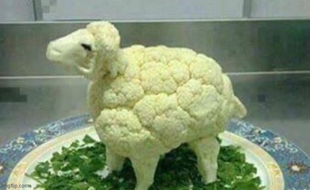 broccoli sheep | image tagged in food | made w/ Imgflip meme maker