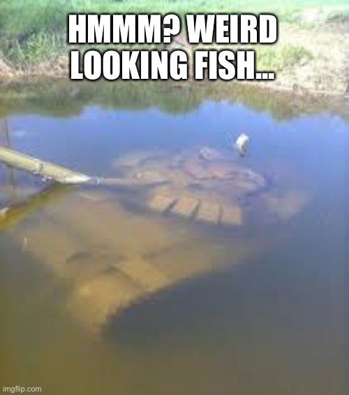 Tank in water | HMMM? WEIRD LOOKING FISH... | image tagged in memes,tank | made w/ Imgflip meme maker