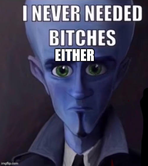 I never needed b*tches | EITHER | image tagged in i never needed b tches | made w/ Imgflip meme maker