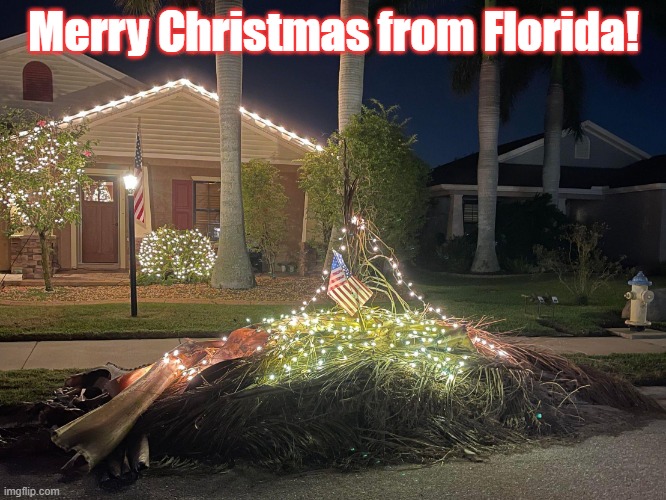 Florida Christmas | Merry Christmas from Florida! | image tagged in hurricane debris lights | made w/ Imgflip meme maker