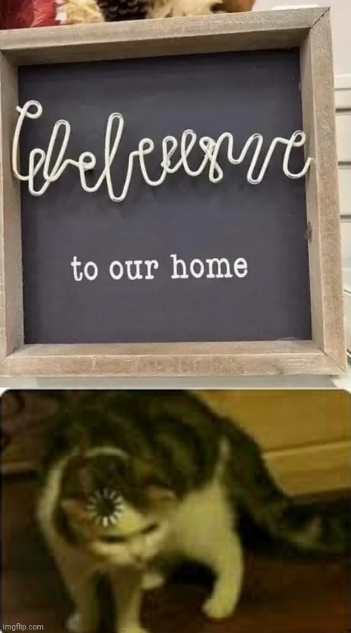 *Welcome to our home | image tagged in buffering cat,you had one job,memes,design fails,welcome,home | made w/ Imgflip meme maker