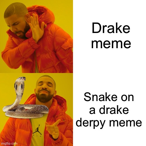 Drake Hotline Bling | Drake meme; Snake on a drake derpy meme | image tagged in memes,drake hotline bling | made w/ Imgflip meme maker