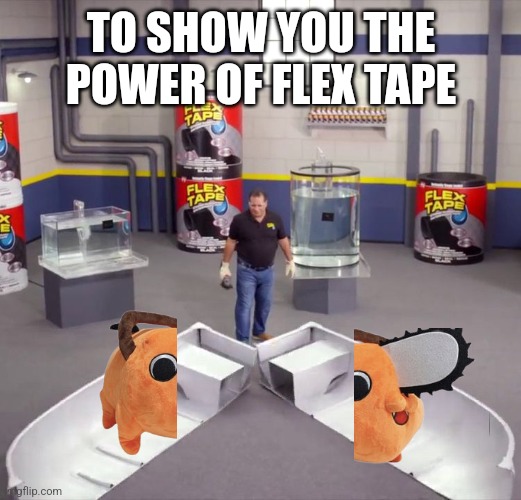 I sawed Pochita in half! | TO SHOW YOU THE POWER OF FLEX TAPE | image tagged in i sawed this boat in half | made w/ Imgflip meme maker