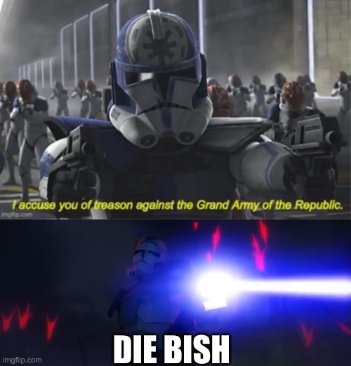 DIE BISH | image tagged in i accuse you of treason,you ve cloned your last trooper | made w/ Imgflip meme maker