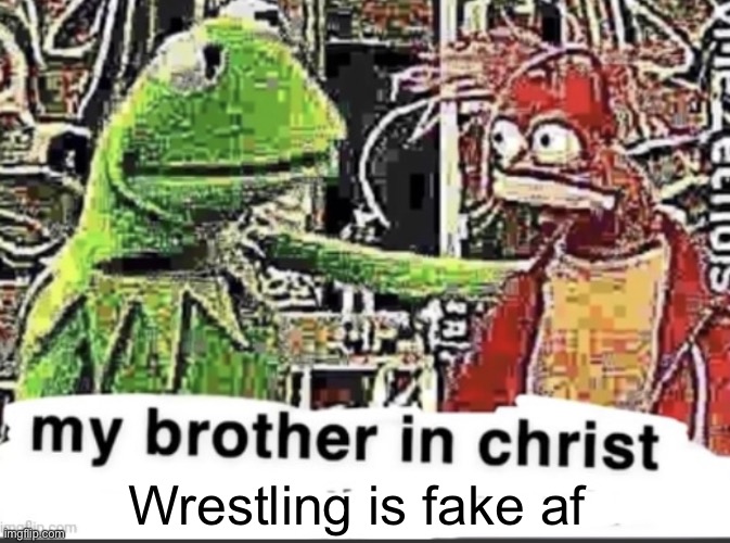 my brother in christ | Wrestling is fake af | image tagged in my brother in christ | made w/ Imgflip meme maker