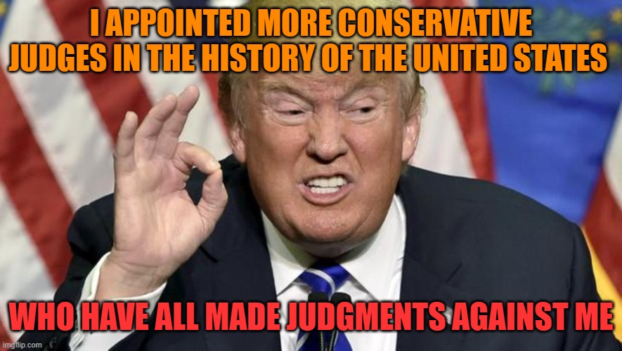 Trump organization found guilty of tax fraud | I APPOINTED MORE CONSERVATIVE JUDGES IN THE HISTORY OF THE UNITED STATES; WHO HAVE ALL MADE JUDGMENTS AGAINST ME | image tagged in trump,guilty,maga,political memes,fraud | made w/ Imgflip meme maker