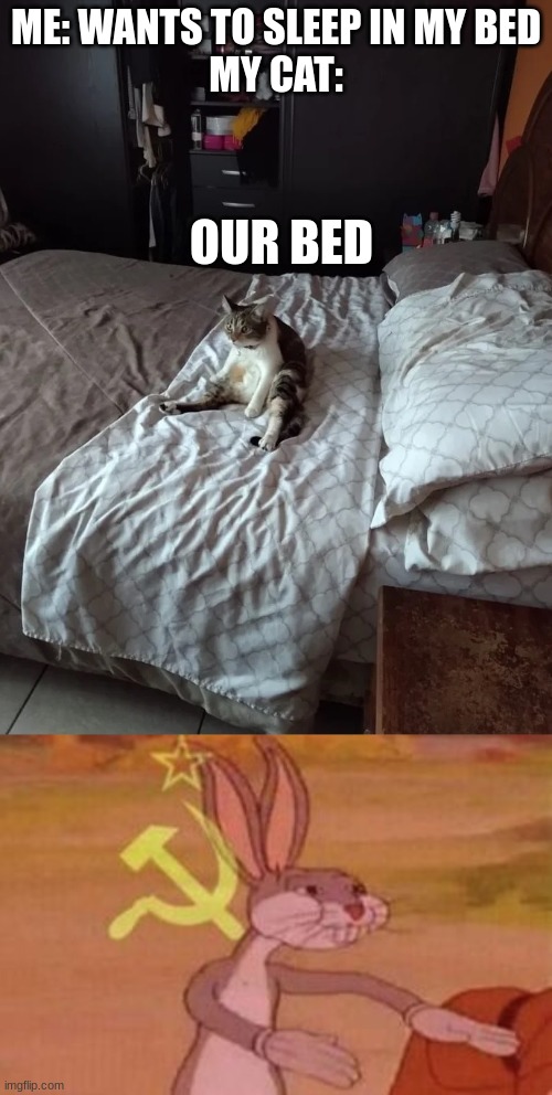 i cannot move him | ME: WANTS TO SLEEP IN MY BED

MY CAT:; OUR BED | image tagged in cat on the bed,our,bugs bunny communist,funny cats | made w/ Imgflip meme maker