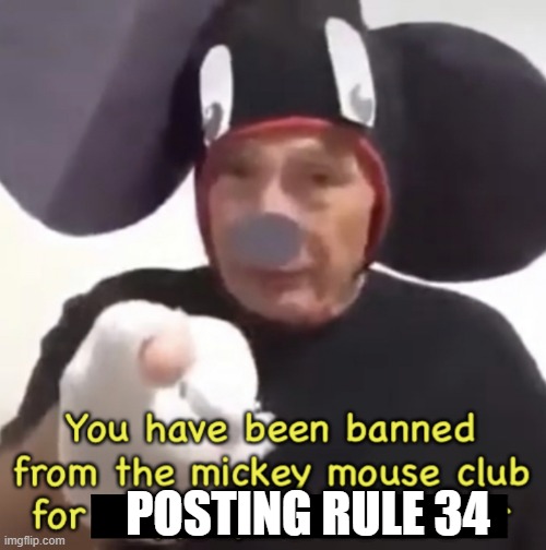 Banned From The Mickey Mouse Club | POSTING RULE 34 | image tagged in banned from the mickey mouse club | made w/ Imgflip meme maker