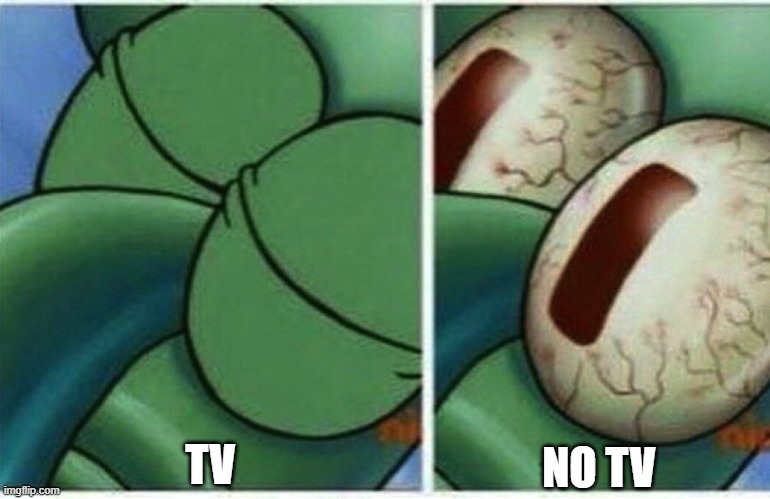Squidward | TV; NO TV | image tagged in squidward,tv | made w/ Imgflip meme maker