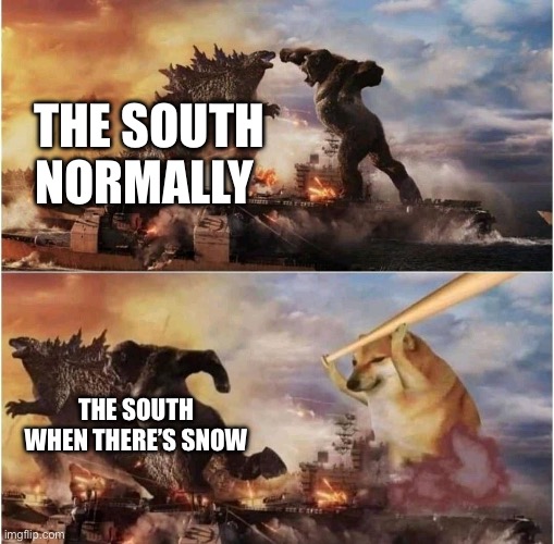 Image title here: | THE SOUTH NORMALLY; THE SOUTH WHEN THERE’S SNOW | image tagged in kong godzilla doge,snow,southern,memes | made w/ Imgflip meme maker