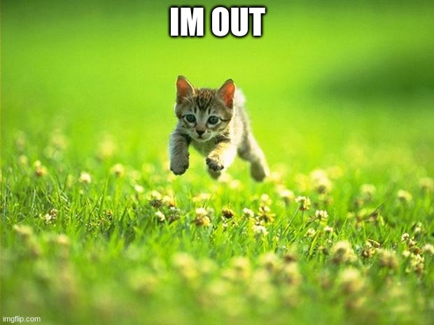 Every time I smile God Kills a Kitten | IM OUT | image tagged in every time i smile god kills a kitten | made w/ Imgflip meme maker