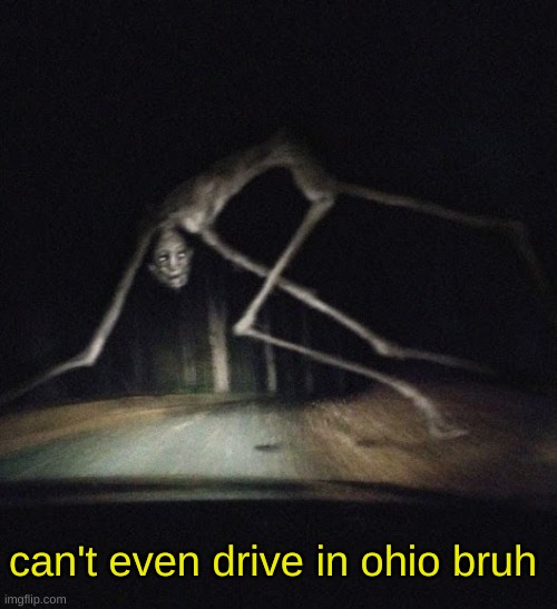 get stickbugged lol | can't even drive in ohio bruh | image tagged in whats going on in ohio,ohio,only in ohio | made w/ Imgflip meme maker