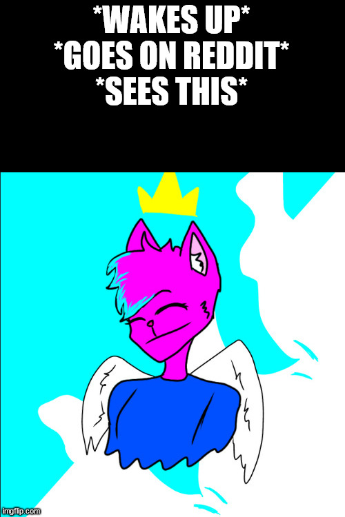 kitty drawn by page | *WAKES UP*
*GOES ON REDDIT*
*SEES THIS* | image tagged in kitty drawn by page | made w/ Imgflip meme maker