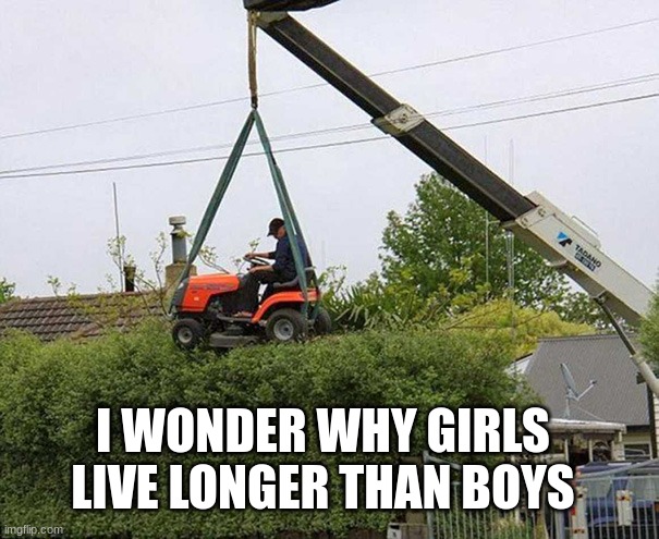 i would do this fr | I WONDER WHY GIRLS LIVE LONGER THAN BOYS | image tagged in girls vs boys,me and the boys,boys be like | made w/ Imgflip meme maker