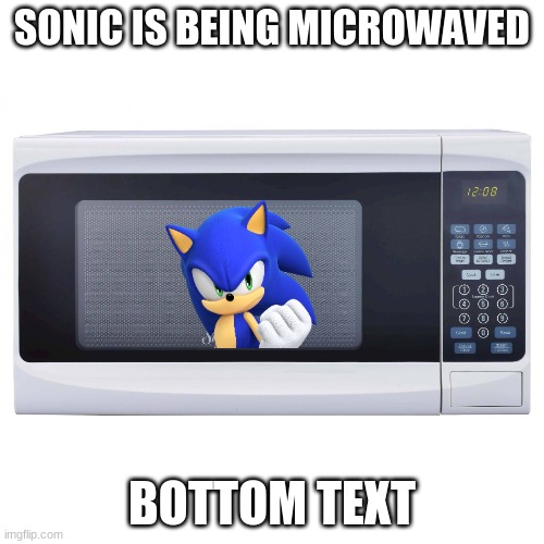 Bro got noobed on | SONIC IS BEING MICROWAVED; BOTTOM TEXT | image tagged in microwave speaks,sonic the hedgehog | made w/ Imgflip meme maker
