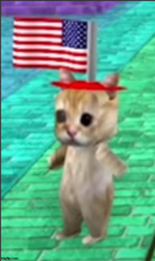 el gato american | made w/ Imgflip meme maker