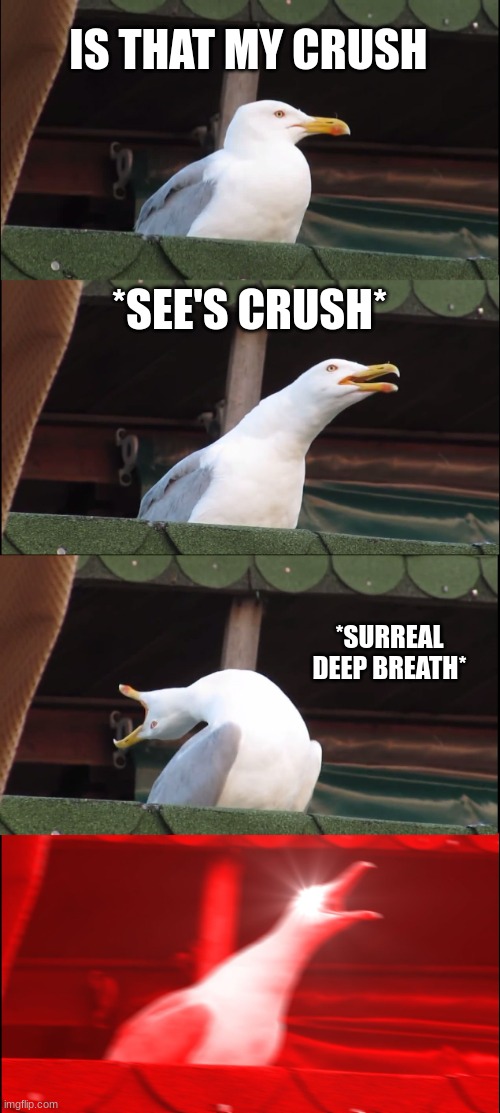 Inhaling Seagull | IS THAT MY CRUSH; *SEE'S CRUSH*; *SURREAL DEEP BREATH* | image tagged in memes,inhaling seagull | made w/ Imgflip meme maker