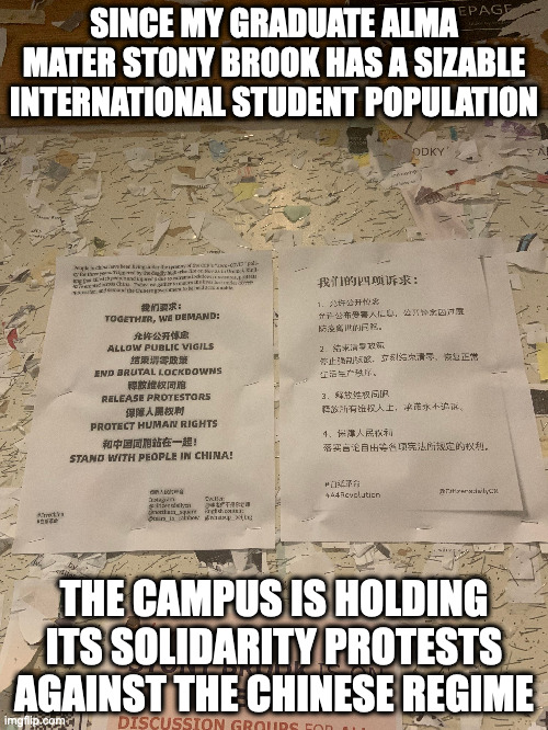 Alma Mater Solidarity Protest | SINCE MY GRADUATE ALMA MATER STONY BROOK HAS A SIZABLE INTERNATIONAL STUDENT POPULATION; THE CAMPUS IS HOLDING ITS SOLIDARITY PROTESTS AGAINST THE CHINESE REGIME | image tagged in memes,college | made w/ Imgflip meme maker