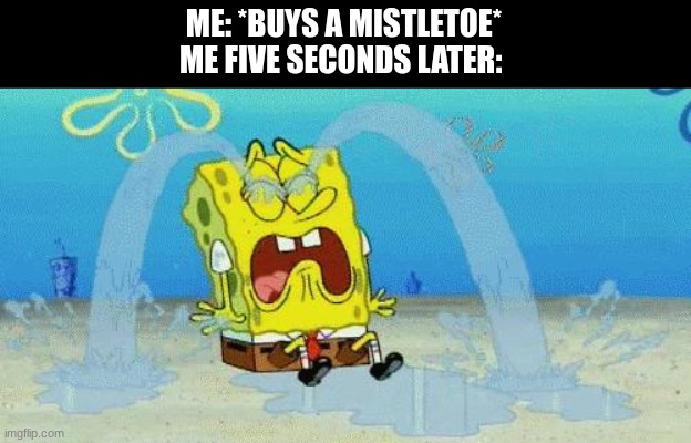 Remembering 2020 Christmas | ME: *BUYS A MISTLETOE*
ME FIVE SECONDS LATER: | image tagged in sad crying spongebob,christmas | made w/ Imgflip meme maker