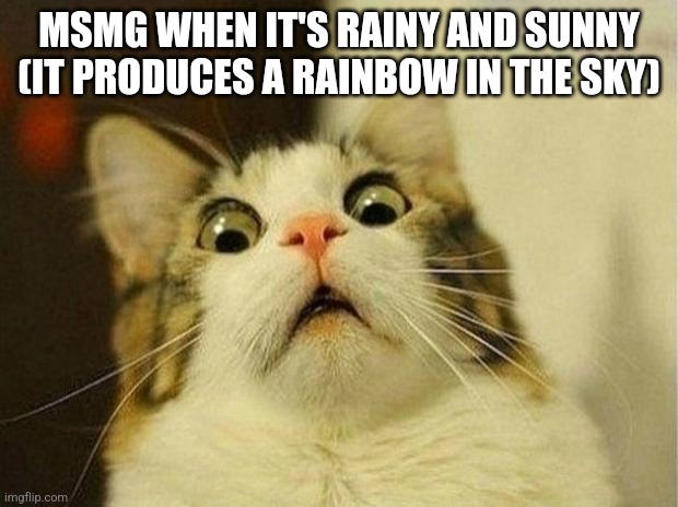 If you know you know | MSMG WHEN IT'S RAINY AND SUNNY (IT PRODUCES A RAINBOW IN THE SKY) | image tagged in memes,scared cat | made w/ Imgflip meme maker