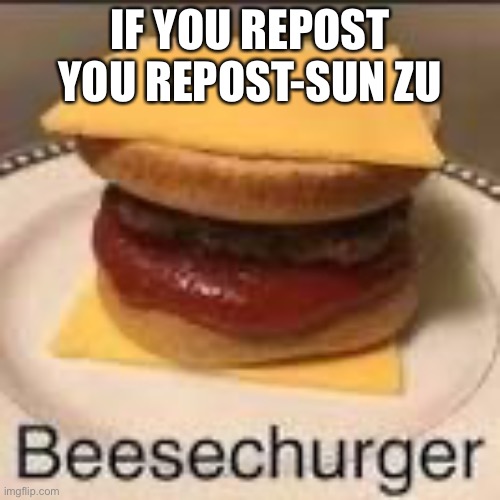 Besechuger | IF YOU REPOST YOU REPOST-SUN ZU | image tagged in besechuger | made w/ Imgflip meme maker