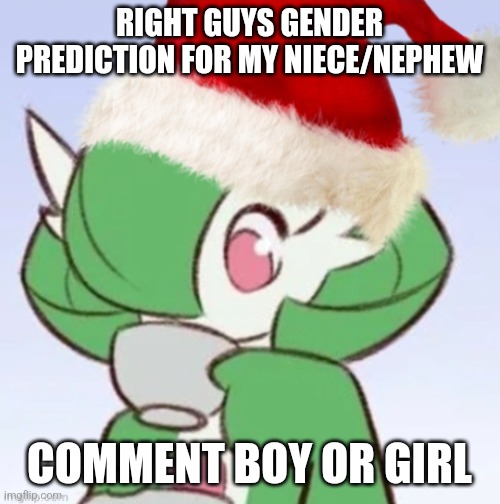 I damn hope its a girl | RIGHT GUYS GENDER PREDICTION FOR MY NIECE/NEPHEW; COMMENT BOY OR GIRL | image tagged in gardiclaus sipping tea | made w/ Imgflip meme maker