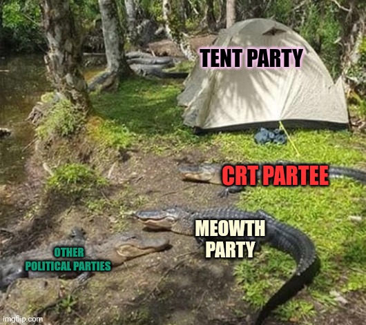 Tent partee propaganda | TENT PARTY; CRT PARTEE; MEOWTH PARTY; OTHER POLITICAL PARTIES | image tagged in tent,party,propaganda,vote,early,vote often | made w/ Imgflip meme maker