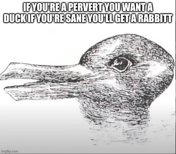 if you're a pervert you want a duck if you're sane you'll get a rabbit | IF YOU'RE A PERVERT YOU WANT A DUCK IF YOU'RE SANE YOU'LL GET A RABBITT | image tagged in memes | made w/ Imgflip meme maker