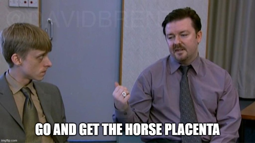 David Brent | GO AND GET THE HORSE PLACENTA | image tagged in david brent | made w/ Imgflip meme maker