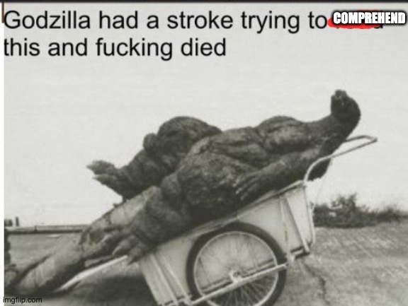 Godzilla | COMPREHEND | image tagged in godzilla | made w/ Imgflip meme maker