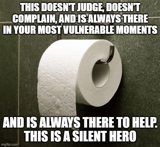 Heroes | THIS DOESN'T JUDGE, DOESN'T COMPLAIN, AND IS ALWAYS THERE IN YOUR MOST VULNERABLE MOMENTS; AND IS ALWAYS THERE TO HELP.
THIS IS A SILENT HERO | image tagged in toilet paper roll,friend,helpful,bathroom humor,recycle,priorities | made w/ Imgflip meme maker