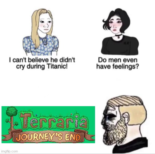 Girls vs Boys sad meme template | image tagged in boys vs girls,terraria | made w/ Imgflip meme maker