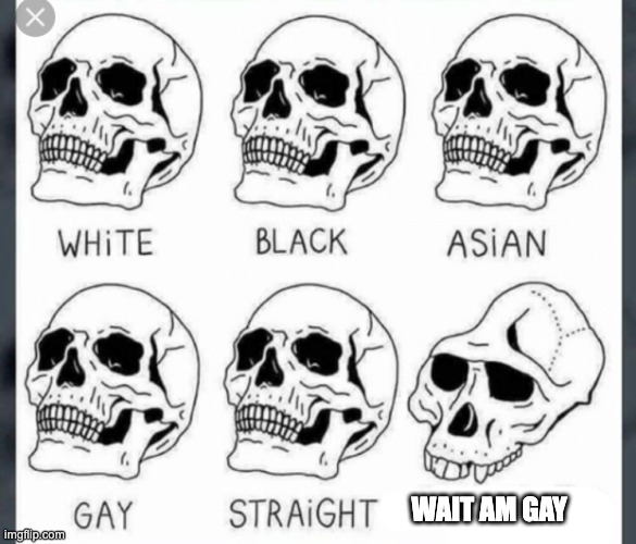 White Black Asian Gay Straight skull template | WAIT AM GAY | image tagged in white black asian gay straight skull template | made w/ Imgflip meme maker