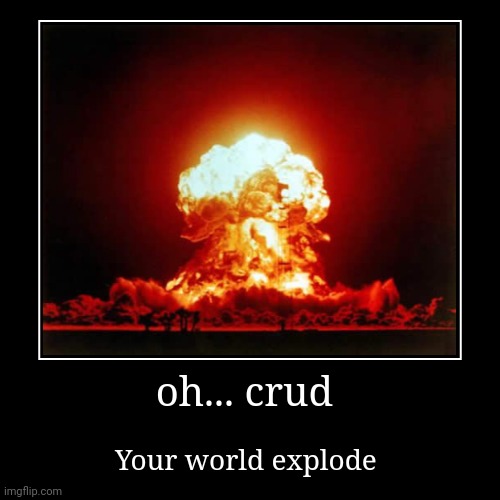 Your world | image tagged in nooooo | made w/ Imgflip demotivational maker