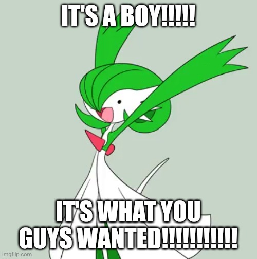 I would have preferred a girl but still THATS F*cKING AWESOME | IT'S A BOY!!!!! IT'S WHAT YOU GUYS WANTED!!!!!!!!!!! | image tagged in dank excited gardevoir | made w/ Imgflip meme maker