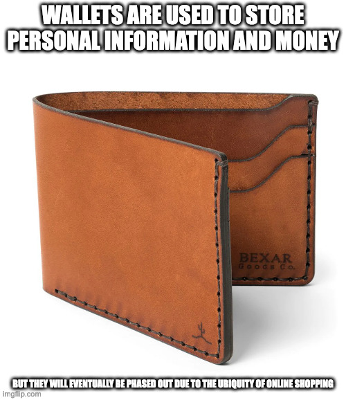 Wallet | WALLETS ARE USED TO STORE PERSONAL INFORMATION AND MONEY; BUT THEY WILL EVENTUALLY BE PHASED OUT DUE TO THE UBIQUITY OF ONLINE SHOPPING | image tagged in wallet,memes | made w/ Imgflip meme maker