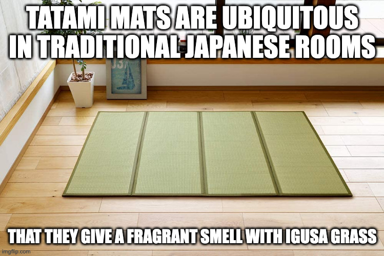 Tatami | TATAMI MATS ARE UBIQUITOUS IN TRADITIONAL JAPANESE ROOMS; THAT THEY GIVE A FRAGRANT SMELL WITH IGUSA GRASS | image tagged in tatami,memes | made w/ Imgflip meme maker