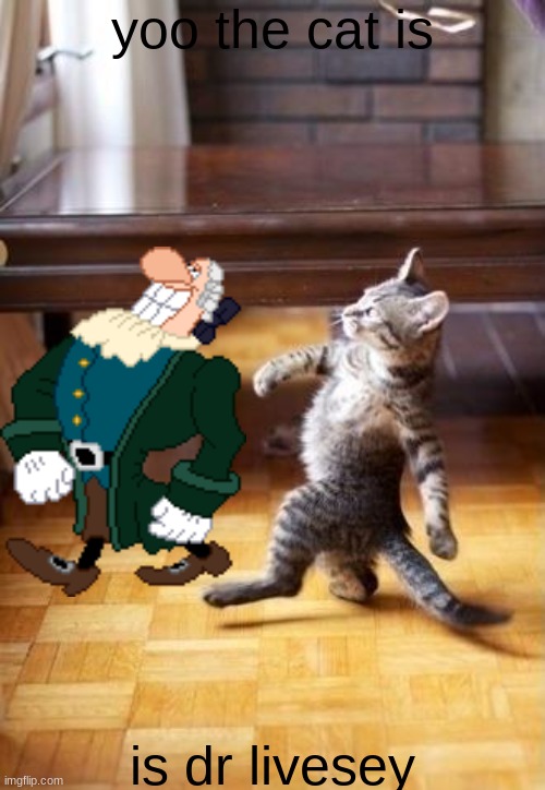 ok | yoo the cat is; is dr livesey | image tagged in memes,cool cat stroll | made w/ Imgflip meme maker