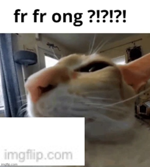 fr fr ong | image tagged in fr fr ong | made w/ Imgflip meme maker