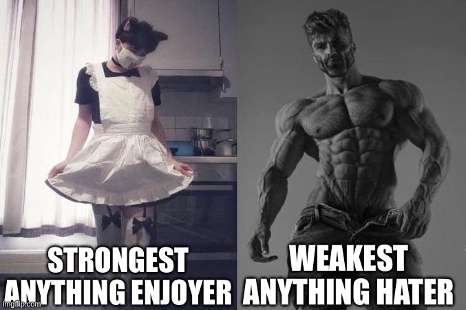 Just to clear the misconception | STRONGEST ANYTHING ENJOYER; WEAKEST ANYTHING HATER | image tagged in strongest fan vs weakest fan | made w/ Imgflip meme maker