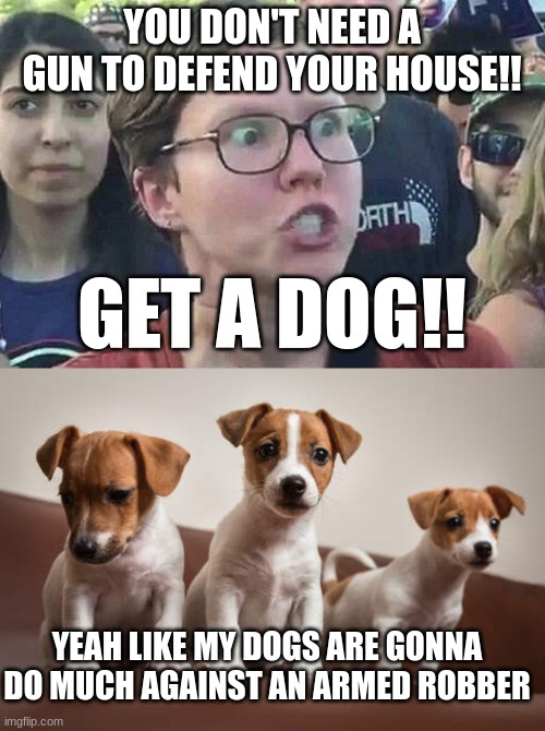 YOU DON'T NEED A GUN TO DEFEND YOUR HOUSE!! GET A DOG!! YEAH LIKE MY DOGS ARE GONNA DO MUCH AGAINST AN ARMED ROBBER | image tagged in triggered liberal | made w/ Imgflip meme maker