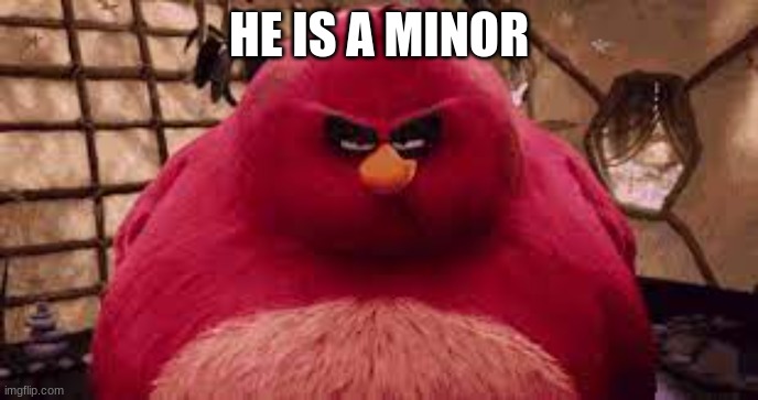 HE IS A MINOR | made w/ Imgflip meme maker