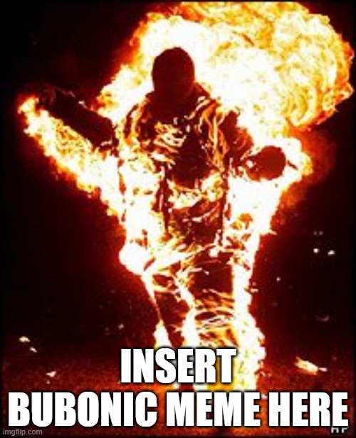 Burning Man | INSERT BUBONIC MEME HERE | image tagged in burning man | made w/ Imgflip meme maker