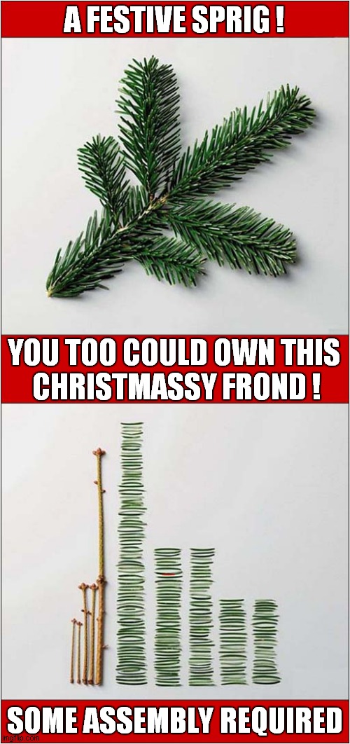 A Seasonal Opportunity Awaits | A FESTIVE SPRIG ! YOU TOO COULD OWN THIS
 CHRISTMASSY FROND ! SOME ASSEMBLY REQUIRED | image tagged in fun,christmas tree,diy | made w/ Imgflip meme maker