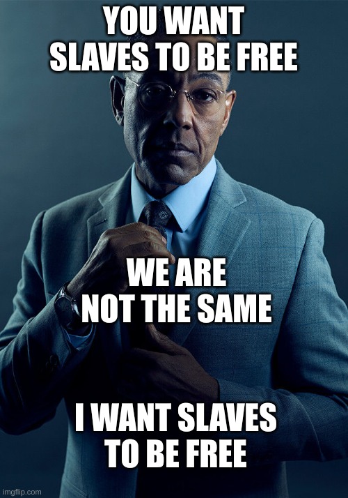 based gus | YOU WANT SLAVES TO BE FREE; WE ARE NOT THE SAME; I WANT SLAVES TO BE FREE | image tagged in gus fring we are not the same | made w/ Imgflip meme maker