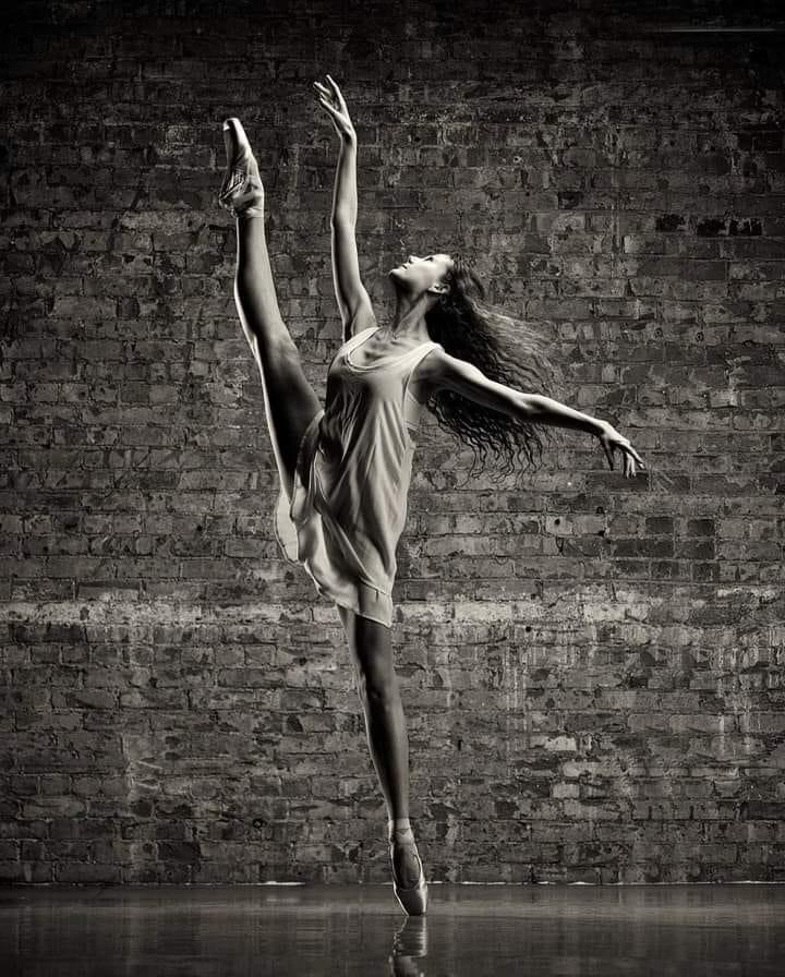 Anna McEvoy-Melo Blank Meme Template