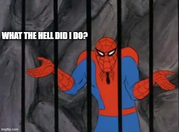 spiderman jail | WHAT THE HELL DID I DO? | image tagged in spiderman jail | made w/ Imgflip meme maker